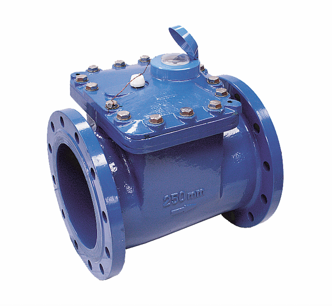 Ipars. WDE Woltmann Water Meter DN400 | DMA & SCADA Integration
